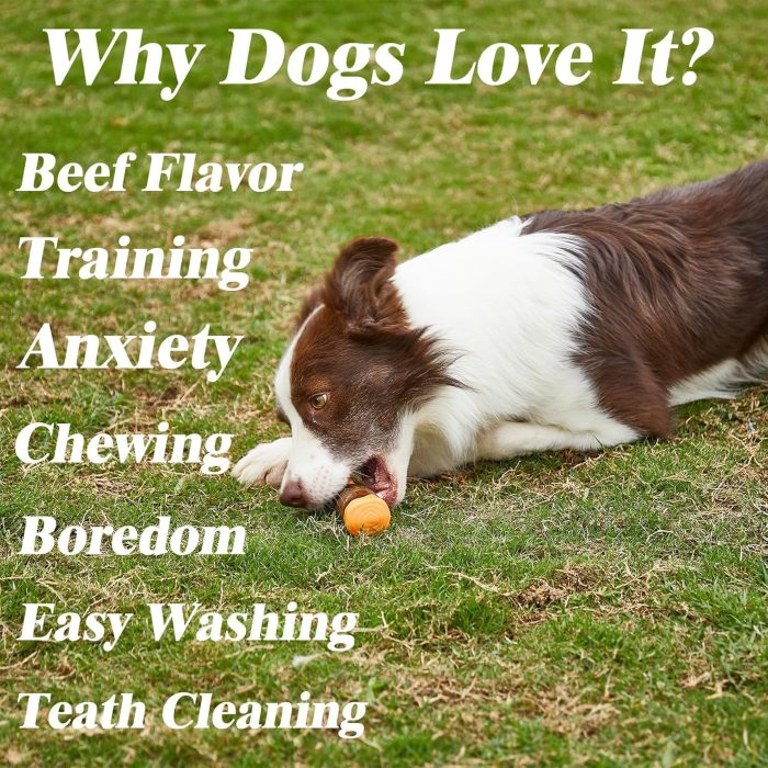 Dog Bones Chew Toys For Aggressive Chewers Real Beef Flavor Indestructible Dog Teething Chew Toys For Large Medium Small Puppies Breed Tough Pet Toy - Image 7