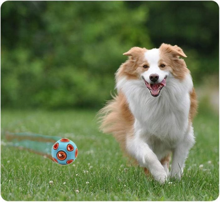 Dog Ball Toy Dog Interactive Toy With Ring Bell Squeak Toys Dog Rubber Bouncy Ball Pet Exercise Game Puzzle Ball To Increase IQ Search Catch Bite Resistant Chewing Toy - Image 6